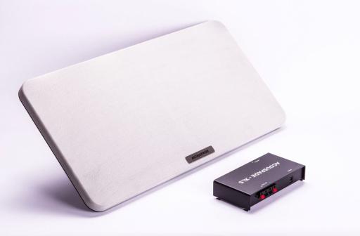 Directional Speaker